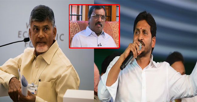 ysrcp party and tdp party