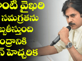 pawan kalyan speech at joint fact-finding committee