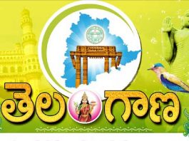 Telangana formation day celebration History