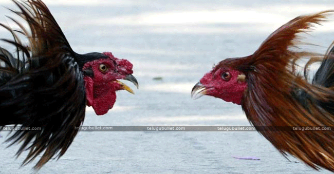 Doctors Report On AP Leader Of Opposition YS Jagan Blood Samples Doctors Report On AP Leader Of Opposition YS Jagan Blood Samples