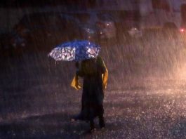 వచ్చే 24 గంటల్లో చెన్నైలో భారీ వర్షాలు వచ్చే 24 గంటల్లో చెన్నైలో భారీ వర్షాలు