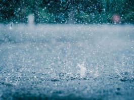 Heavy rains in Telangana for another four days. High alert for those districts